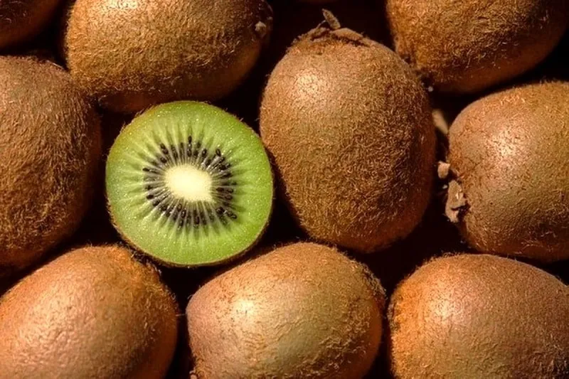 منابع گیاهی امگا ۳؛ میوه‌هایی که نباید نادیده بگیرید